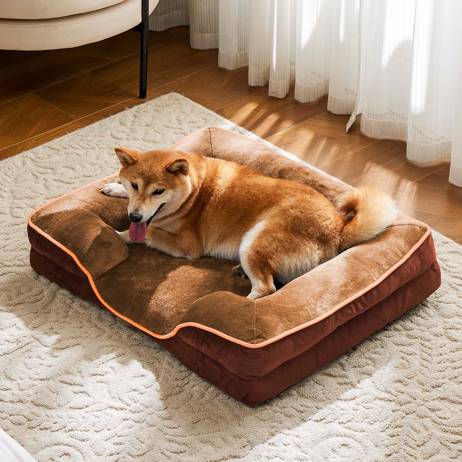 For Dogs