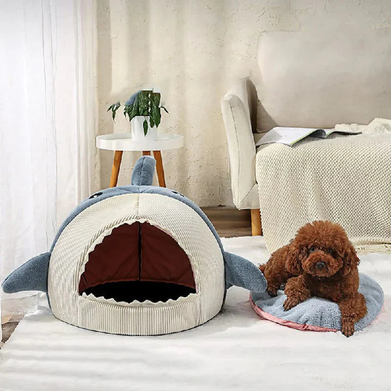 Shark Bed